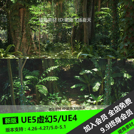 ue5虚幻4真实热带雨林场景，环境植物岩石树木草类，游戏3d模型素材