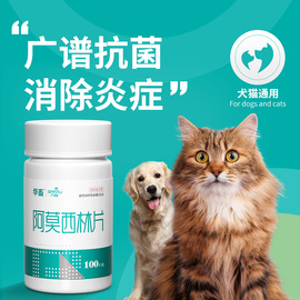 华畜狗狗猫咪感冒药打喷嚏流鼻涕猫鼻支治疗专用消炎药阿莫西林片