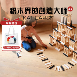 法国KAPLA积木阿基米德儿童积木拼装建筑玩具益智卡普乐积木玩具