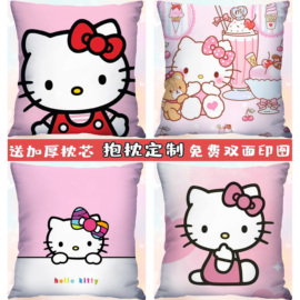 hellokitty凯蒂猫抱枕双面定制靠垫，可爱卡通少女心，卧室沙发靠枕头