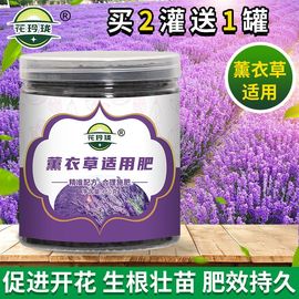 薰衣草适用肥花肥有机肥开花生根缓释颗粒肥，花卉植物肥料