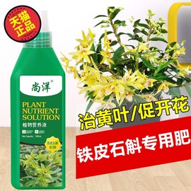 铁皮石斛专用肥料营养液霍山石斛种植苗专用花肥料盆栽通用型室内