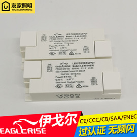 EAGLERISE伊戈尔LED射灯驱动电源恒流30W变压器42W镇流器Driver8W