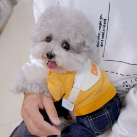 宠物熊雪纳瑞小型犬泰迪狗狗，衣服冬装秋装，秋冬季潮酷背包四脚衣