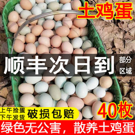 40枚虫草土鸡蛋农家散养新鲜土鸡蛋正宗农村放养土鸡蛋草鸡柴鸡蛋