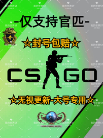 csgo官匹steam国服国际鼠标宏学习资料教程封号包赔送小号