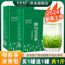 贵州都匀毛尖茶叶，2024新茶特级云雾绿茶明前春茶，浓香型散装共500g