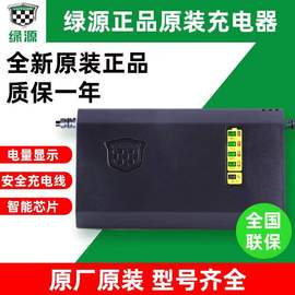 绿源电动车充电器铅酸电瓶车充电器48V60V72V20E30E40E-T2T4T