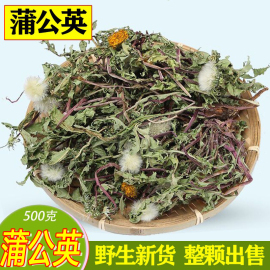 野生蒲公英茶中药材整颗婆婆，丁干蒲公英根茶搭玉米须夏枯草500克