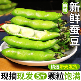 新鲜蚕豆5斤农家自种蔬菜当季现摘带壳罗汉兰花豆青豆角胡豆1