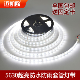 led12v24v软灯带5630超高亮贴片，套管防水户外防雨汽车装饰灯带条