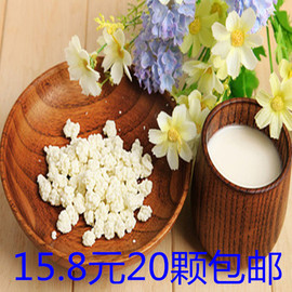 雪莲菌种 藏灵菇菌西藏天山雪莲菌自制酸奶菌种开菲尔菌20颗