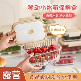 水果盒学生专用便当盒带叉保鲜冰盒食品级外带便携出门野餐高颜值