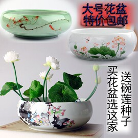 大号碗莲花盆陶瓷花盆水仙花，睡莲荷花铜钱，草绿萝水培植物花盆