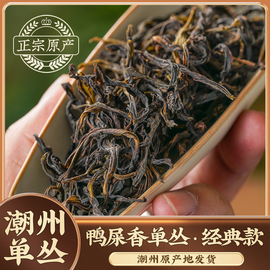 凤凰单枞茶叶鸭屎香特级蜜，兰香潮州高山，老枞乌岽单丛茶乌龙茶