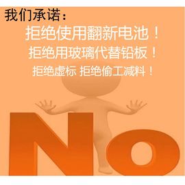 4V可充电铅酸蓄电池 LED台灯手电筒头灯电蚊拍剃须小风扇电池