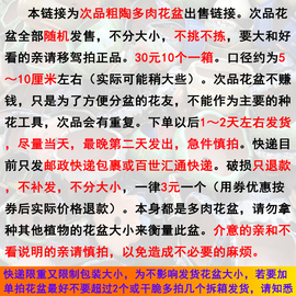 晓煜次品花盆瑕疵品一箱10个30元多肉植物粗陶盆绿植简约盆器