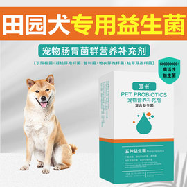 中华田园犬专用益生菌粉宠物犬，用狗狗幼犬，成犬肠胃宝肠道消化宝