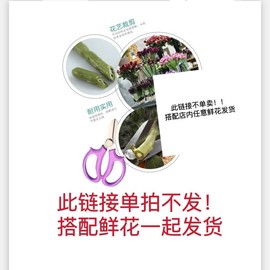 花艺师花剪修枝剪花艺剪花店专用修花剪子，此链接单拍不发！！