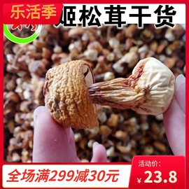 云南野生姬松茸干货100g 巴西蘑菇牛肝菌松茸云南特产 野生菌