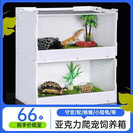 亚克力爬虫饲养盒保温箱陆龟寄居蟹缸用品爬宠箱雨林缸造景异宠