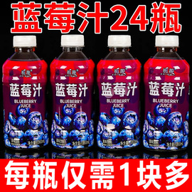 无糖饮料蓝莓汁整箱360ml*6/12瓶蓝莓果味饮料水果汁饮用饮品