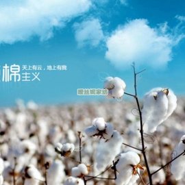 床笠单件纯棉儿童床罩卡通全棉1 1.2米棕垫薄床垫1.35保护套订做