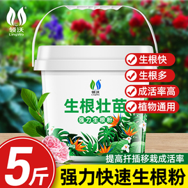 生根粉植物通用生根剂壮苗，剂强力生根液，果树专用月季多肉植物扦插