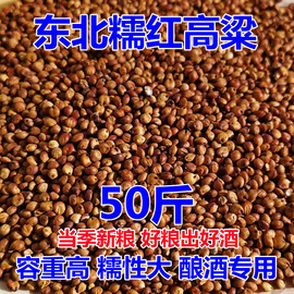 糯红高粱东北高粱50斤带皮黏糯红高粱米酿酒粮食出酒高香醇糯高粱