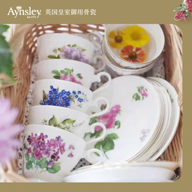 英国aynsley安斯丽月份花，英式骨瓷咖啡杯碟设计感小众下午茶茶具