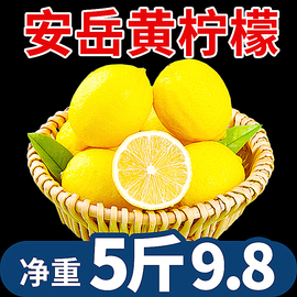 华秧安岳黄柠檬5斤新鲜水果当季现摘皮薄一二级香水小青金桔柠檬