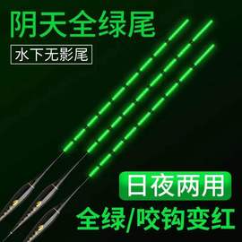 阴天尾水下无影电子漂高灵敏鲫鱼漂醒目夜钓超亮日夜两用夜光浮漂