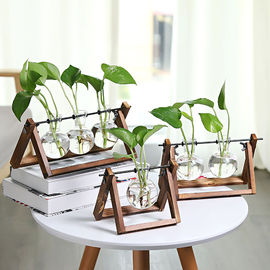创意木架 绿萝水培花瓶植物 办公桌面装饰物玻璃花器客厅摆件