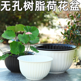 无孔水培荷花盆铜钱，草碗莲盆大号树脂塑料，睡莲花盆水生植物藕花盆