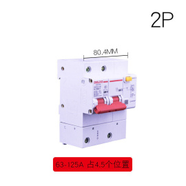 大电流漏电断路器，2p80a100a125a漏保dz47le-1252p100a