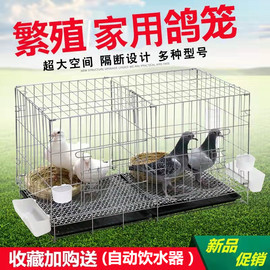 鸽子笼养殖笼鸽子配对笼大号鸽子笼家用带隔断繁殖鸽笼