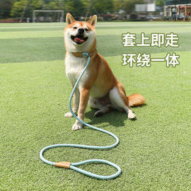 跨境狗狗牵引绳中大型犬通用安全扣狗链，项圈遛狗链宠物用品