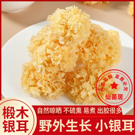 特级小银耳500g干货椴木，银耳堪比燕窝，因此尤为珍贵美味佳肴好