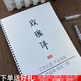 玫瑰体女生手写漂亮练字帖央视文案大报金句励志语录钢笔临摹练字