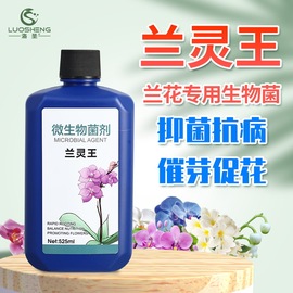 兰灵王兰花(王兰花)专用营养液，肥料em菌，营养液兰陵王促花君子兰蝴蝶兰菌王