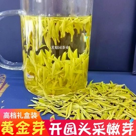 安吉2023年新茶正宗黄金芽茶叶，白茶明前特级礼盒装250g绿茶春茶