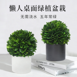 北欧ins室内盆栽植物办公室，桌面绿植好养卧室，装饰摆件真花手工diy