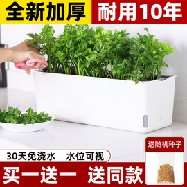 阳台种菜盆家庭蔬菜种植专用箱长方形自吸水室内草莓盆栽懒人花盆