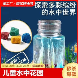 儿童水中花园diy化学，小学生硅酸纳生长石，魔术石头科学小实验玩具