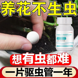 园艺防虫片糖化硼肥片绿植花卉防虫颗粒园艺驱虫片驱蚊虫防飞蚜虫