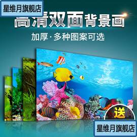 鱼缸背景纸画高清图立体鱼缸壁纸挂画双面，水族箱装饰鱼缸