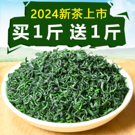 赠送1斤2024年新茶，贵州高山云雾绿茶浓香型，散装毛尖茶叶1000g