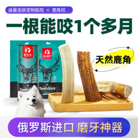 鹿角磨牙棒狗狗洁齿零食中小型犬，磨牙成幼犬，泰迪柯基耐咬补钙骨头