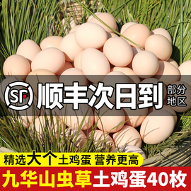 鸡蛋新鲜正宗农家散养土鸡蛋，40枚无抗谷物草，鸡蛋整箱笨柴鸡蛋