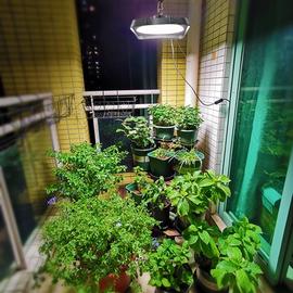 阳台太阳光模拟灯仿太阳，全光谱灯室内养兰花卉蔬菜植物生长补光灯